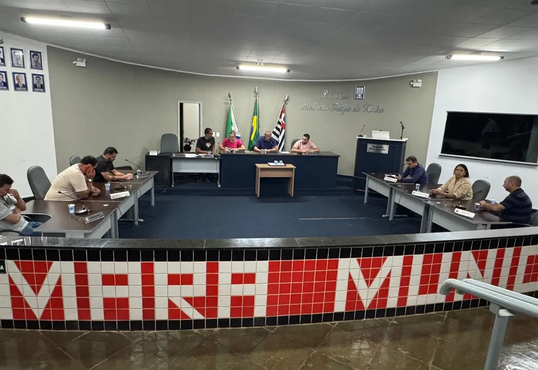 29ª Sessão Ordinária da 15ª Sessão Extraordinária