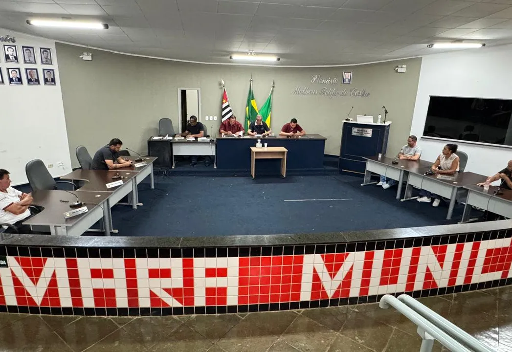 13ª Sessão Extraordinária da 15ª Legislatura